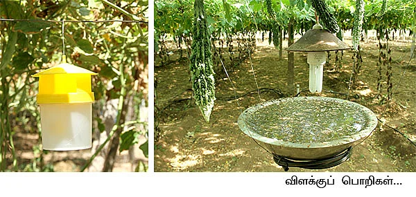 12 ஏக்கர்... 7 மாதங்கள்... 25 லட்சம்...