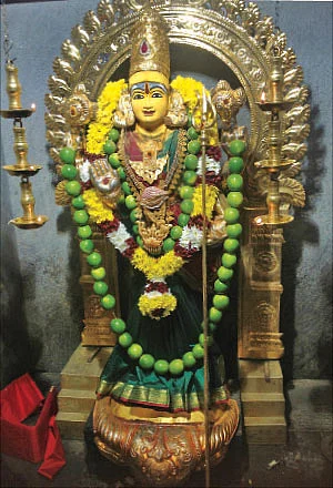 இன்னல் தீர்க்கும் ‘ஈலிங்’ ஸ்ரீகனகதுர்கை!