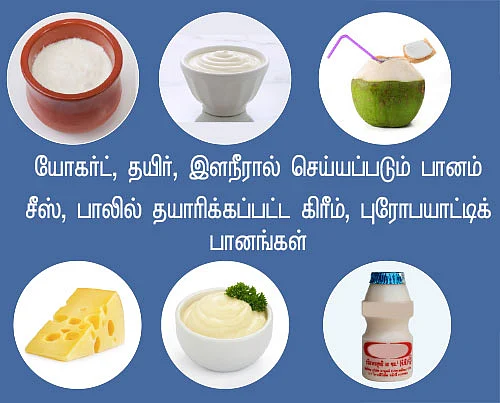 புரோபயாட்டிக் Vs ப்ரிபயாட்டிக்