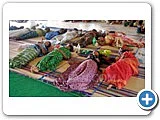 கூடங்குளம்... போராட்ட பூமி! - சிறப்பு புகைப்படத் தொகுப்பு