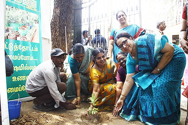உலக சுற்றுச்சூழல் தினம்: கல்லூரியில் மரம் நடும் நிகழ்ச்சி!