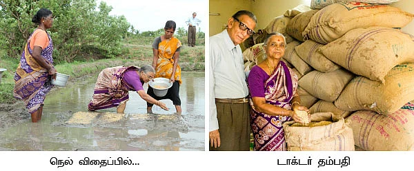 5 ஏக்கரில் 150 மூட்டை... ஒற்றை நாற்று தரும் ஒப்பற்ற வருமானம்!