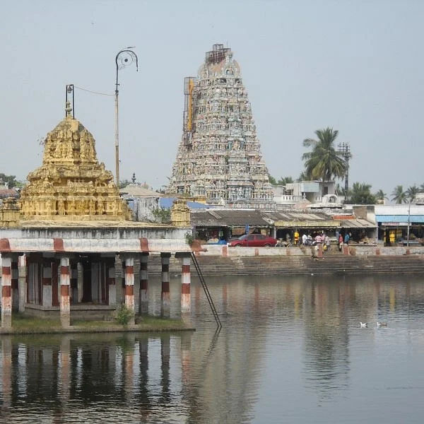திருப்போரூரில் கந்தசஷ்டி விழா கோலாகலம்! கூடுதல் வசதி செய்துத் தர பக்தர்கள் கோரிக்கை