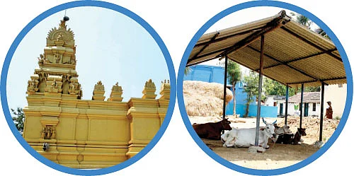 என் ஊர் - ஆவம்பூண்டி