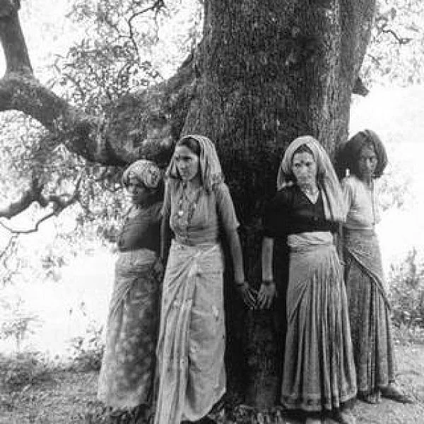 மரங்களை வெட்டாமல் தடுத்த சிப்கோ பெண்களின் புது வியூகம்! #ChipkoMovement
