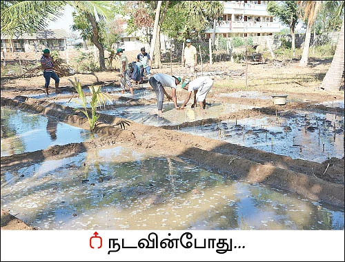 ஒரு நாள் விவசாயி! பருவம் 2 - பண்ணையை நோக்கி பயனுள்ள பயணம்