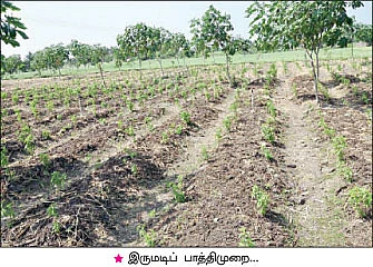 ஏக்கருக்கு18 ஆயிரம் ரூபாய் மிச்சம்... செலவு குறைகிறது... மகசூல் கூடுகிறது....
