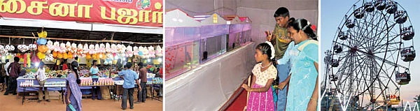 ஹை... கோல்டன் ஃபிஷ்!
