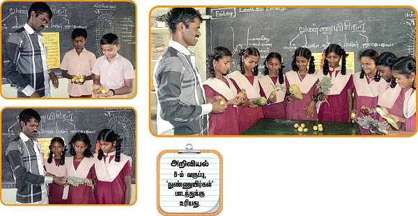 பயிர்நோய் வகைகள் அறிவோம்!