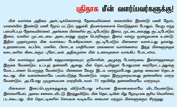 அழகு அமைதி... காசாகும் வண்ண மீன்கள்..!