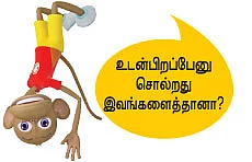 மந்திரி தந்திரி கேபினெட் கேமரா