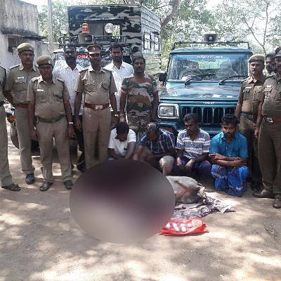 காட்டுப்பன்றியை வேட்டையாடிய 4 பேர் கைது!