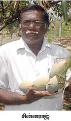 ஒரு ஏக்கர்... ஆண்டுக்கு 5 லட்சம்...