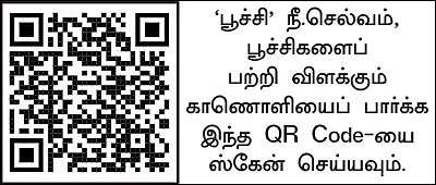பூச்சிகளும் நம் நண்பர்களே..! - 2.0 - பூச்சிகள் பலவிதம்... ஒவ்வொன்றும் ஒருவிதம்!