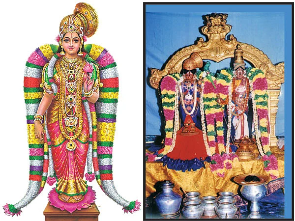 ஆடிப்பூரம்... ஆண்டாள் தரிசனம்!