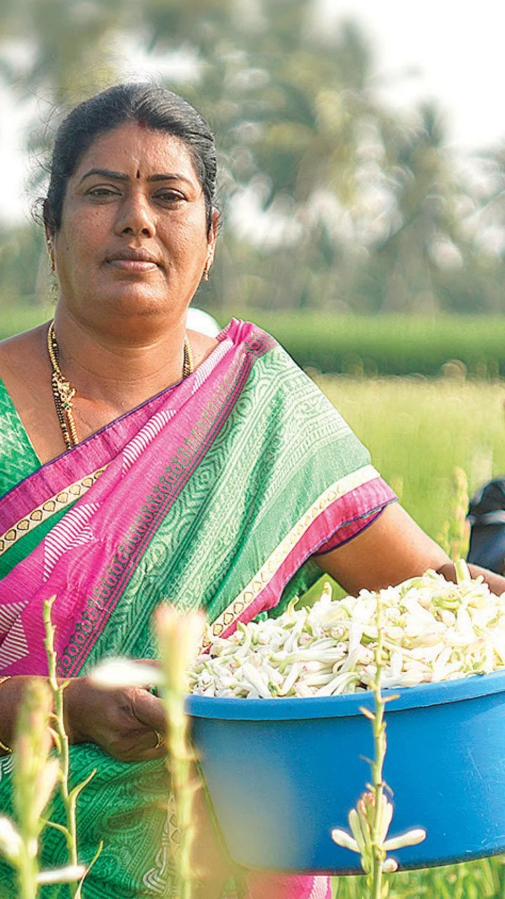12 ஏக்கர், ரூ.23 லட்சம்... சம்பங்கி, அரளி, காட்டு மல்லி, செவ்வந்தி... மலர்ச் சாகுபடியில் மணக்கும் லாபம்!