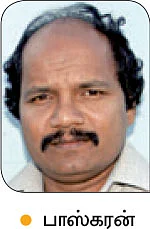 நீங்கள் கேட்டவை: முறிந்த மா மரம், காய்க்குமா..?