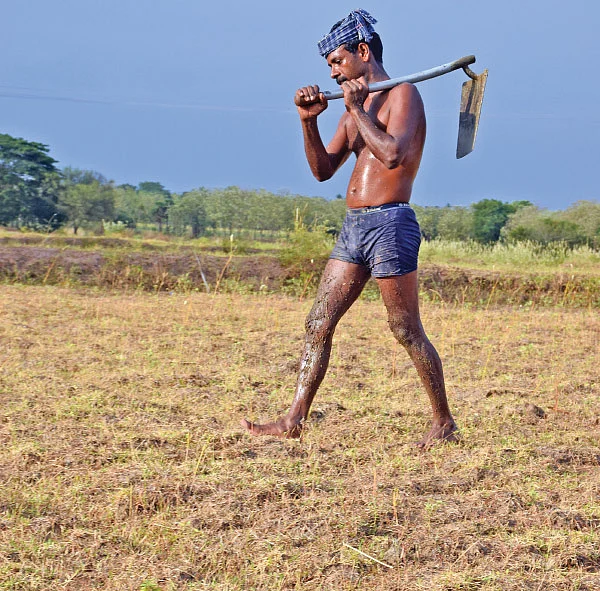 தென் இந்தியாவின் நெற்களஞ்சியம் இன்று...