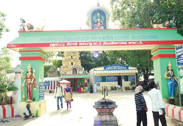 அம்மன் அருள் நிறைந்த பச்சை திருநீறு!
