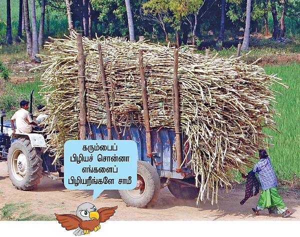 “இந்த ஆண்டு பொங்கல் கசக்கும்!”