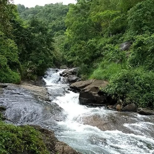 கேரளா