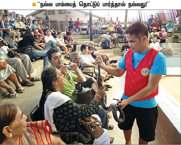 மூன்றாவது பாம்பை எப்படிப் பிடிப்பார்? திகில் கிளைமாக்ஸ்!