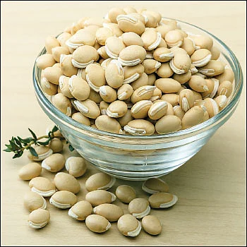 நலம் காக்கும் பரிசு!