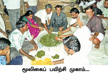 நாட்டு நடப்பு