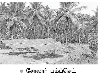 பஞ்சமில்லா பண்ணைக்குட்டை... ஊடுபயிருக்கு உதவிய சோலார்!