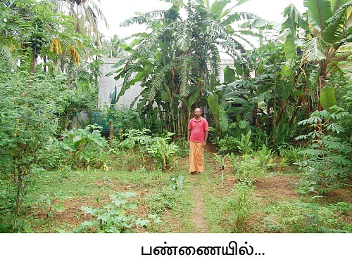 34 சென்ட்...