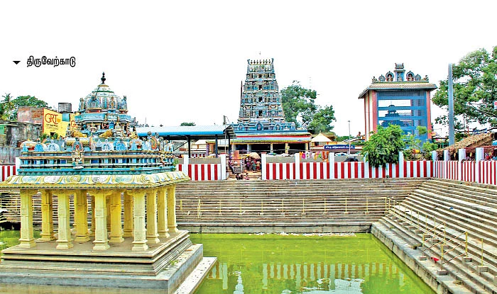 திருப்பங்கள் தரும் திரிசக்கர தரிசனம்!