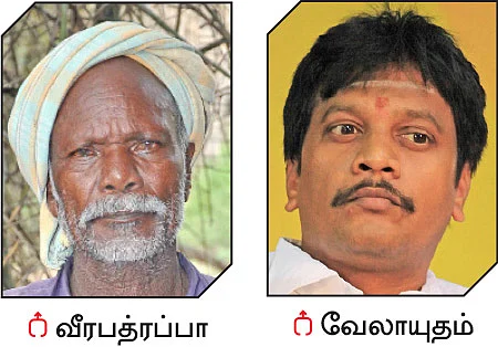 மூங்கில் அரிசி... இயற்கையின் அற்புதக் கொடை!