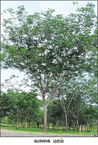 ஏக்கருக்கு ரூ.27 லட்சம்...