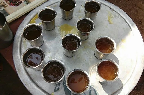 இயற்கை விவசாயம், பாரம்பரிய உணவுகளின் மகத்துவங்களை பரப்பி வரும் இளைஞர்கள்!