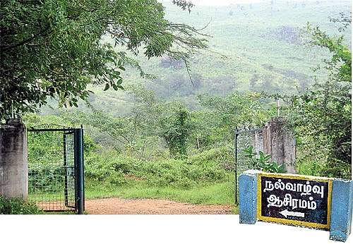 'இயற்கை வாழ்வே... இனிய வாழ்வு’