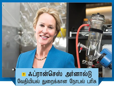 முக்குளித்து முத்தெடுத்த மூன்று நோபல் பெண்கள்!