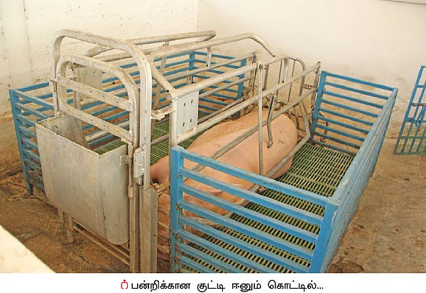 விவசாயிகளுக்கு கைகொடுக்கும் விதவிதமான கருவிகள்...