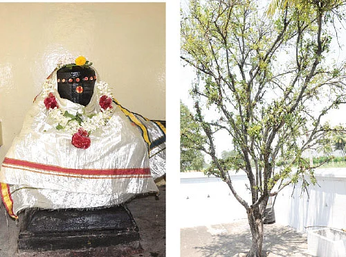 சர்ப்ப தோஷங்கள் நீங்கும்... சந்தோஷம் பெருகும்!