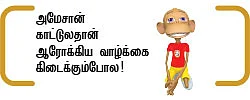 'கிச்சன் கில்லர்கள்’ !