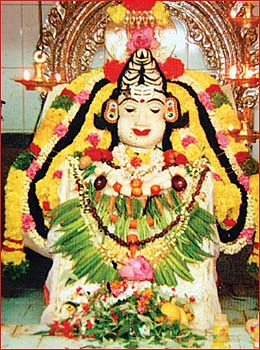 ஐஸ்வரியம் தரும் அன்னாபிஷேக தரிசனம்!