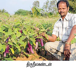 உன்னத வருமானத்துக்கு ‘உஜாலா’...