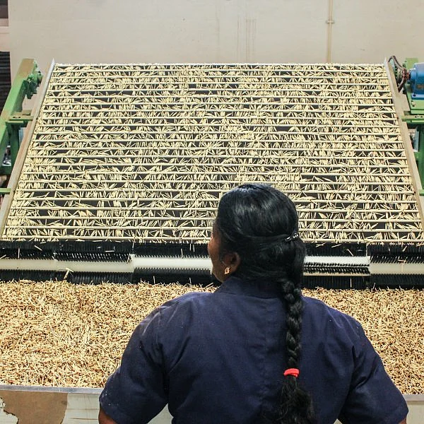 தூத்துக்குடி மாவட்டம் கோவில்பட்டியில் தயாராகும் தீப்பெட்டி.. #factoryvisit படங்கள்: ப.கதிரவன்