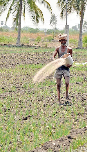 மண்ணுக்கு மரியாதை