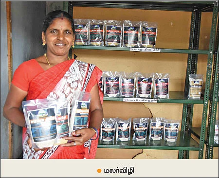கொல்லிமலையில் சிறுதானியங்கள்... பாரம்பர்யம் மாறாத பயிர்ச் சாகுபடி!
