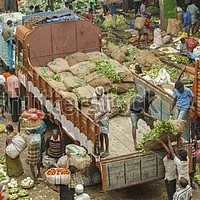 காய்கறி ஏற்றி வரும் வாகனங்களுக்கு புதிய கட்டுப்பாடு: கேரள அரசு அறிவிப்பு