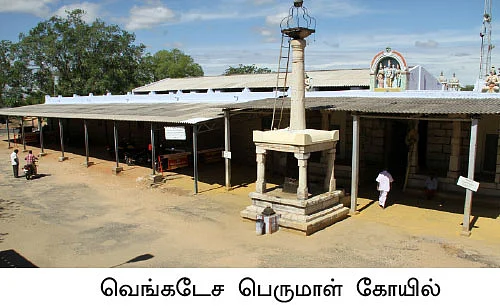 கோயில் வளாகத்தில் குதூகல விவசாயம்!