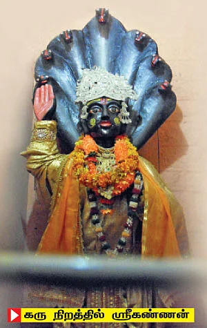 பிருந்தாவனம் முதல்... பிரயாகை வரை!