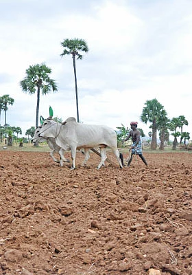 மண்ணுக்கு மரியாதை!