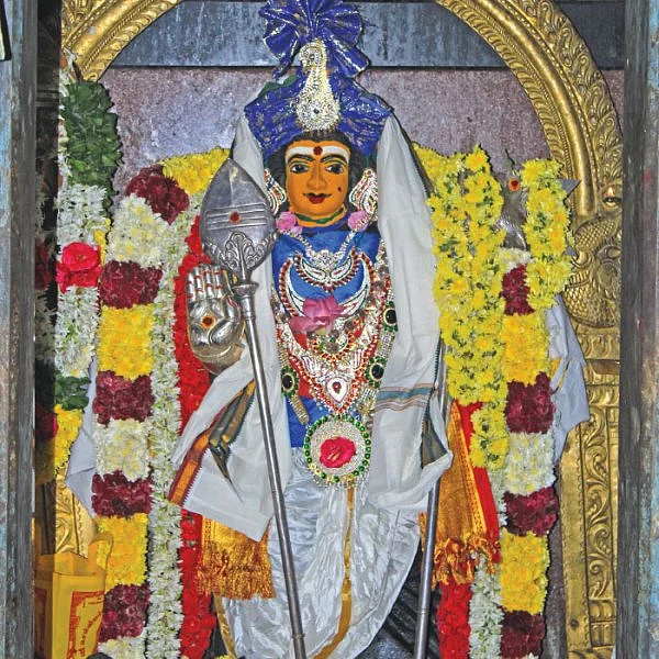தைப்பூச தரிசனம்! - குழந்தை வரம் அருளும் குழந்தை வேலாயுதன்!