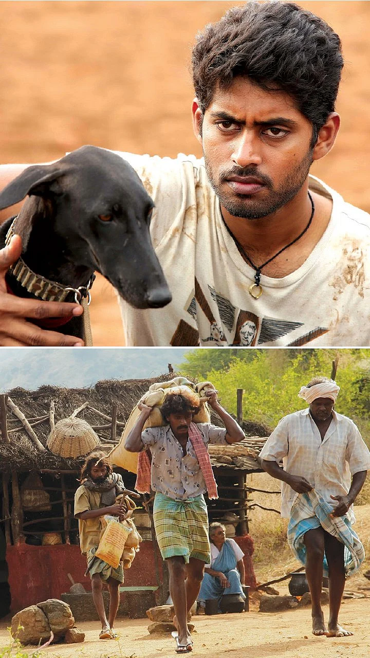 பரியேறும் பெருமாள்... மேற்குத்தொடர்ச்சி மலை - நல்ல சினிமாவுக்கான நம்பிக்கைத் தடங்கள்!
